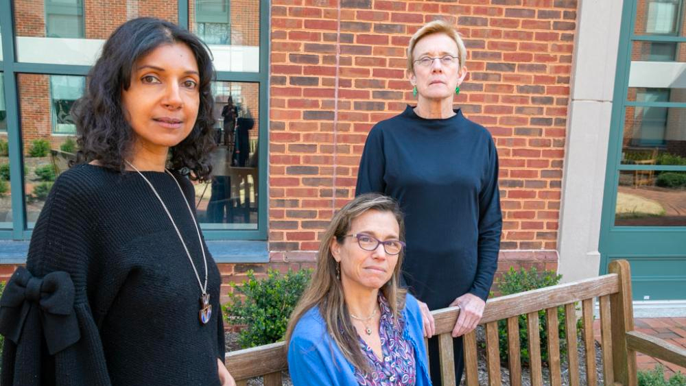 Co-Directors Nomi Dave (left), Bonnie Gordon (center) and Anne Coughlin (right) will lead the Democracy Initiative's newest lab focused on exploring the role or art and narrative in the legal system and claims for justice. Image by Molly Angevine