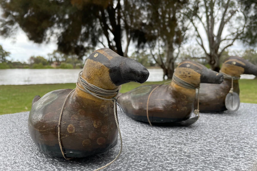 The decoy ducks represent the culture and history of First Nations people in the region.(ABC Riverland: Sophie Landau)