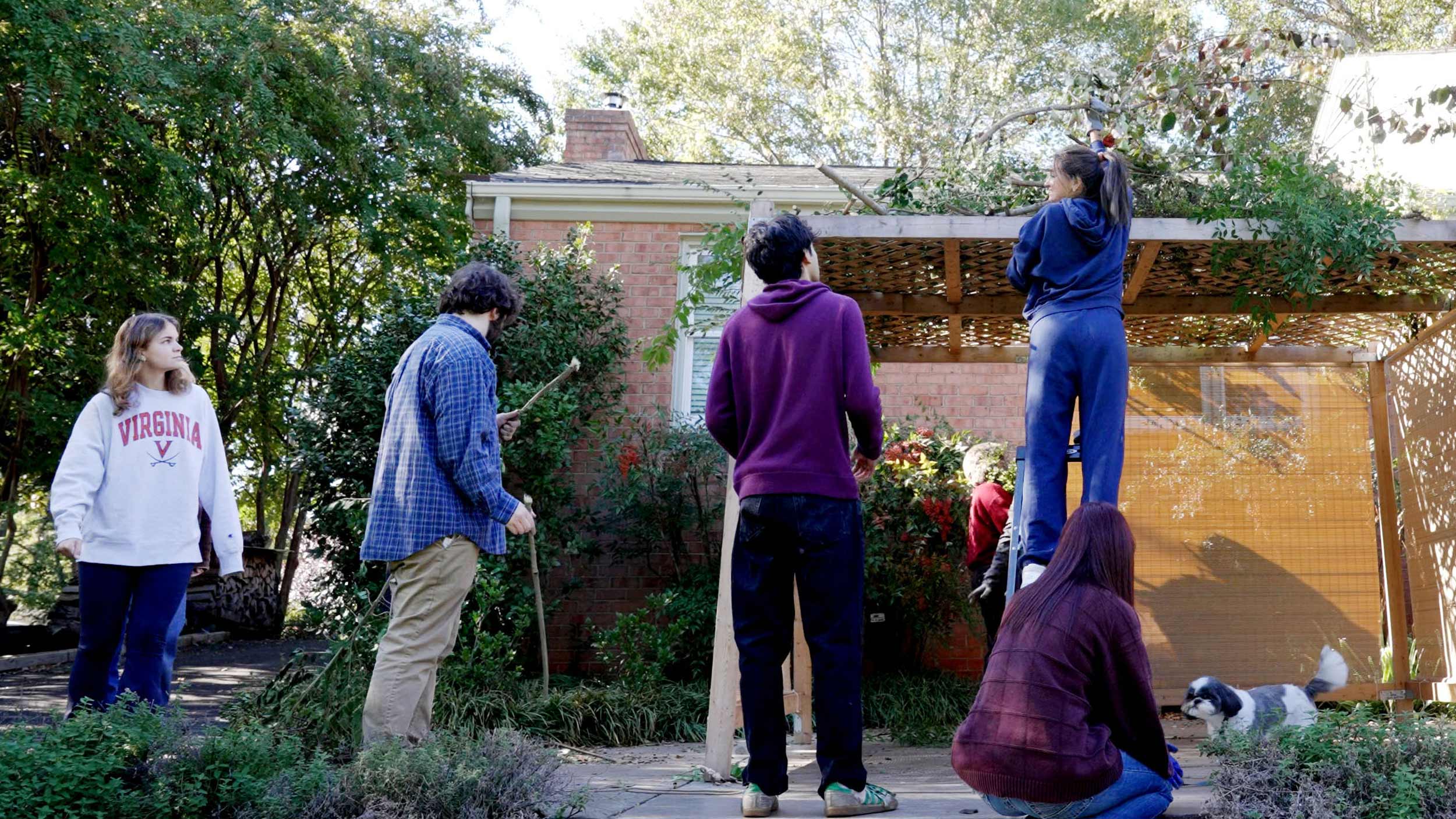 Five students handle tree branches outside. 