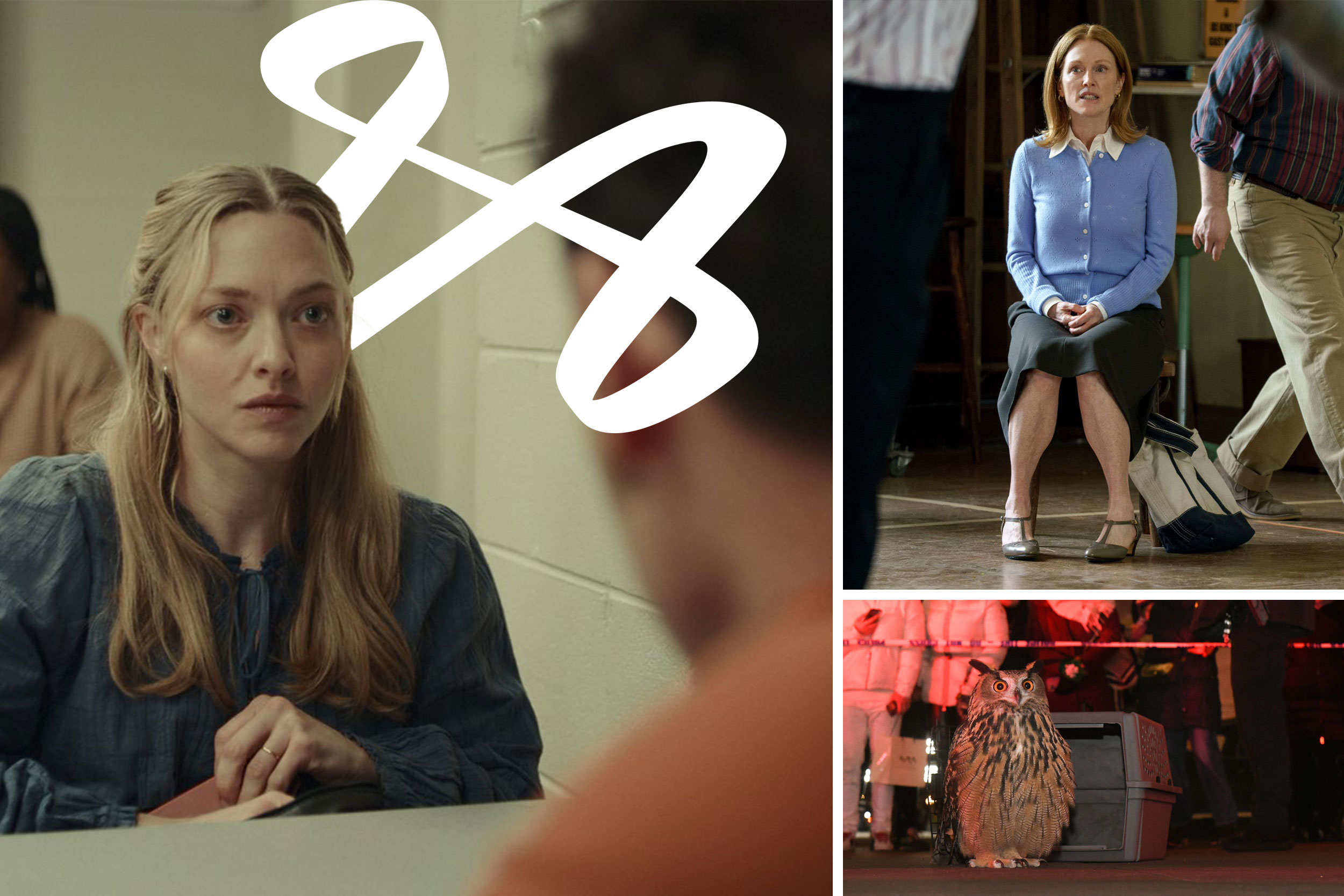 Collage of screencaps from the Virginia Film Festival with under the film festival logo.