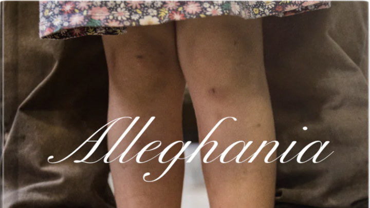 A book cover with a close up photo of a child's knees, with the word Alleghania in white letters across the front.