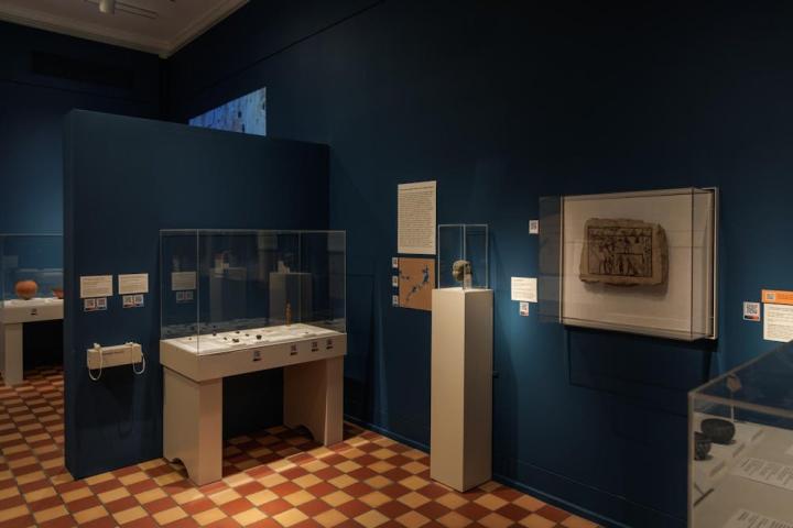 A gallery with dark blue walls and brown checkered floors displays various artifacts on the walls and in glass display cases around the perimeter of the room. The lighting is low and moody.